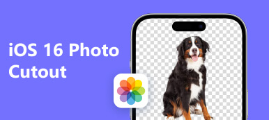 Fotoausschnitt für iOS 16