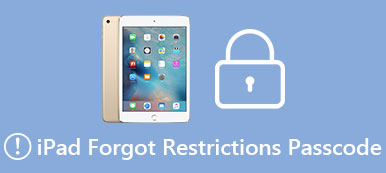 eset en iPad med Forgotten Restrictions Passcode