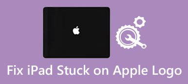 iPad Stuck on Apple Logo