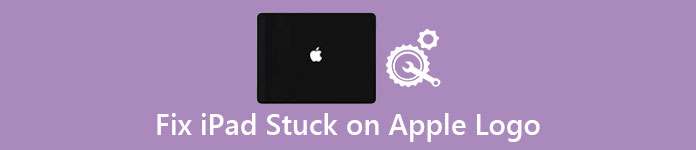 iPad Stuck on Apple Logo