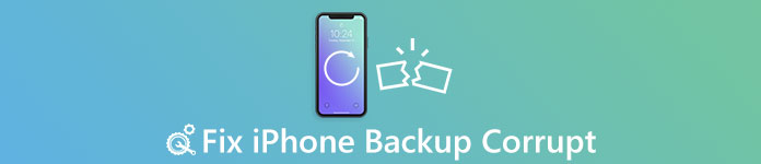 Reparieren Sie das iPhone-Backup beschädigt