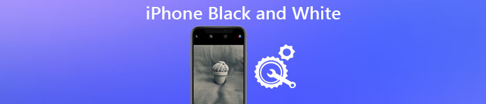iPhone noir et blanc