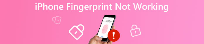 iPhone Fingerprint Not Working