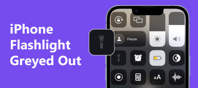 iPhone Flashlight Greyed Out