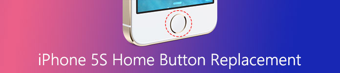 Home Button Replacement