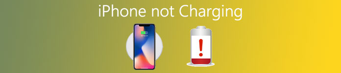 iPhone not Charging