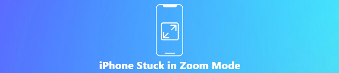 Workable 8 Ways to Fix iPhone Stuck in Zoom Mode without Data Loss