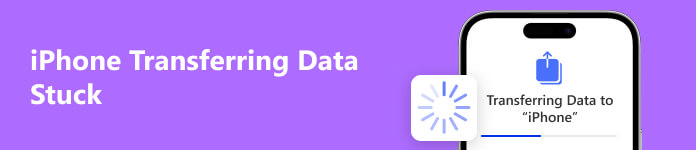 iPhone Transferring Data Stuck