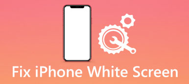 iPhone écran blanc