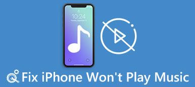 Das iPhone spielt keine Musik