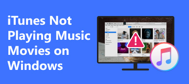 iTunes speelt geen muziekfilms af op Windows