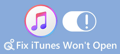 iTunes lässt sich nicht öffnen