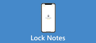 Lock Notes