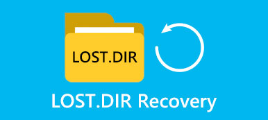 Lost Recovery Dir