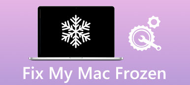 Mac gefroren