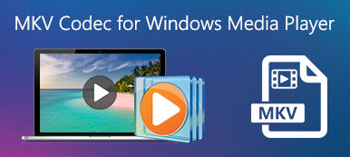 Windows Media Player用のMKVコーデック