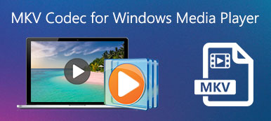 MKV Codec pour Windows Media Player