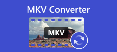 Конвертер MKV