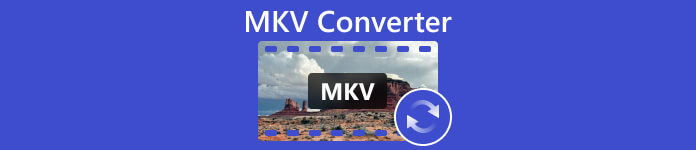 MKV转换器