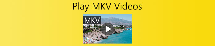 MKV-speler