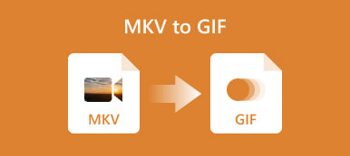 MKV a GIF