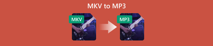 MKV naar MP3