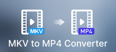 MKV в MP4 конвертер