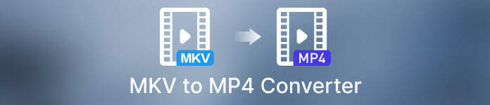 Převodník MKV do MP4