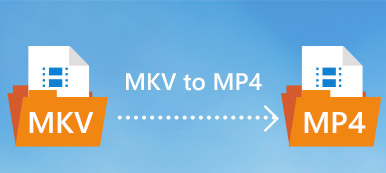 MKV naar MP4