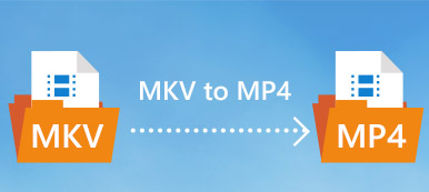 MKV à MP4