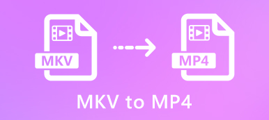 MKV à MP4