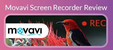 Movavi Screen Recorder Обзор