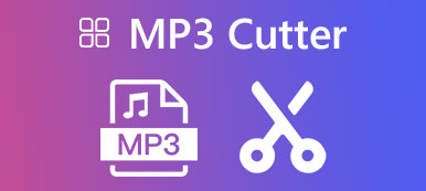 Recenze MP3 Cutter