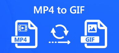 MP4 do formátu GIF