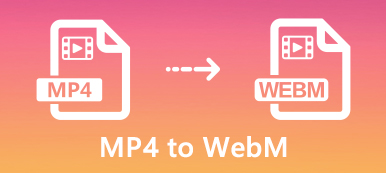 MP4 til WebM
