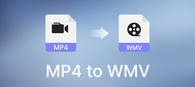 mp4'ten wmv'ye