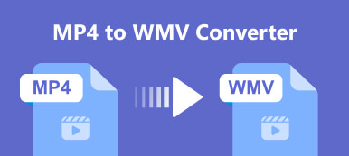 MP4 til WMV Converter