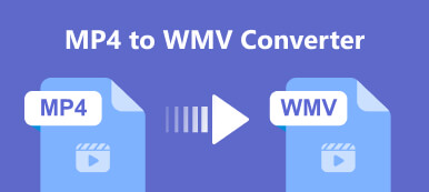 MP4 naar WMV Converter