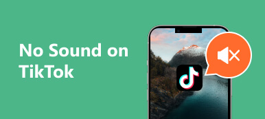 Kein Ton auf TikTok