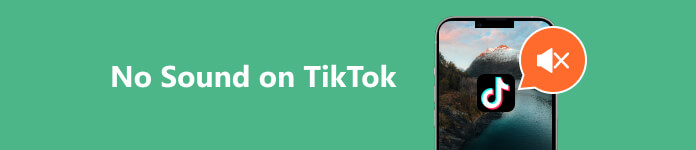 Sin sonido en TikTok