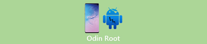 Odin Root