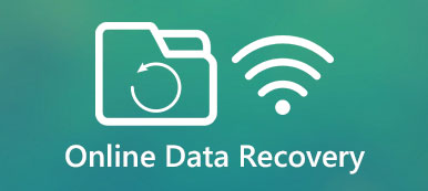 Online Data Recovery