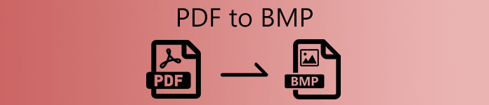 PDF a BMP