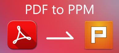 PDF para PPM