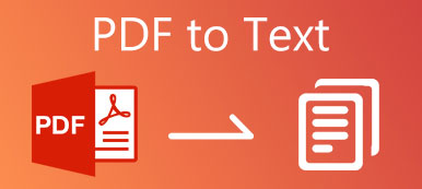 PDF do textu