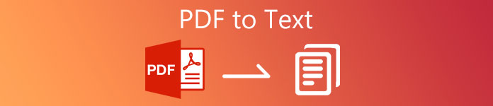 PDF till text