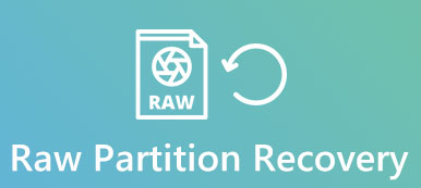 Wiederherstellung der rohen Partition