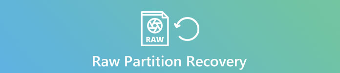 Wiederherstellung der rohen Partition