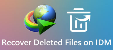 Восстановить удаленные файлы на IDM