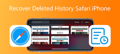 恢復已刪除的 Safari 歷史記錄 iPhone